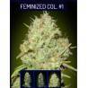 Feminized Col 1 · Advanced Seeds · sementes de maconha · Fem