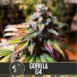 Gorilla Glue 4