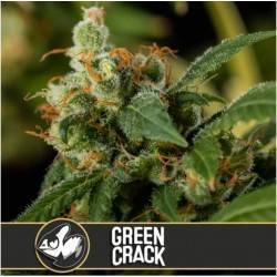 Green Crack · Blimburn...