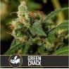 Green Crack