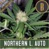 Northern Lights Auto · Blimburn Seeds · sementes de maconha · AutoFem