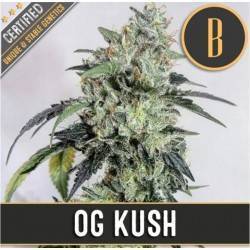 OG Kush · Blimburn Seeds ·...