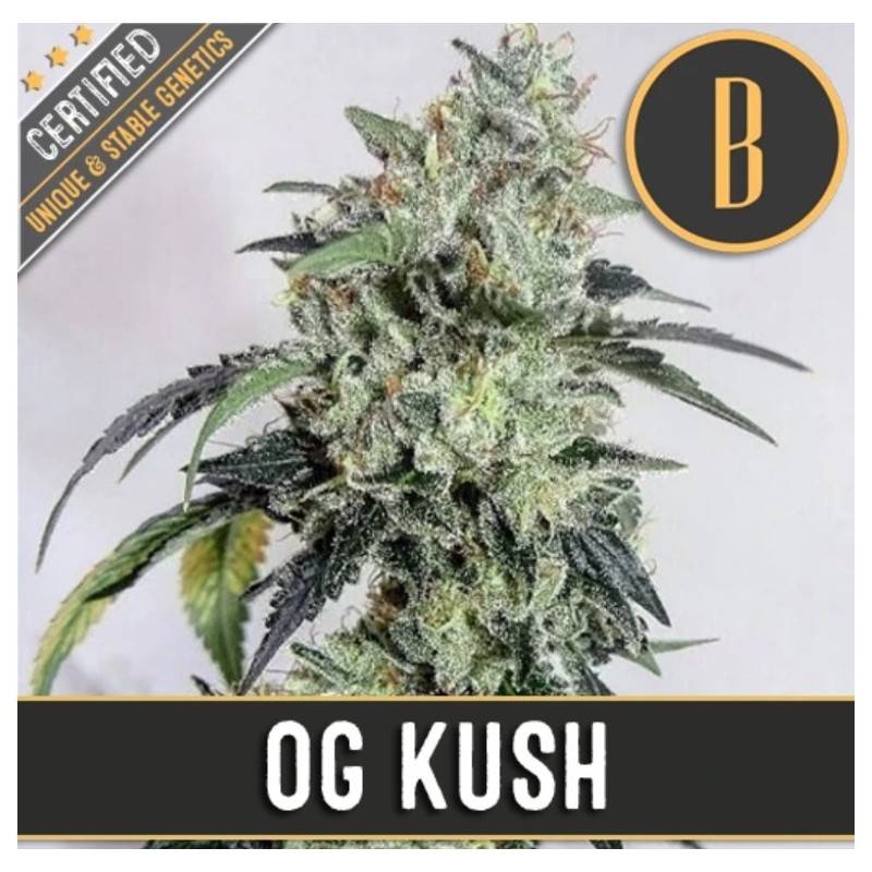 OG Kush · Blimburn Seeds · kaufen cannabis samen · Fem
