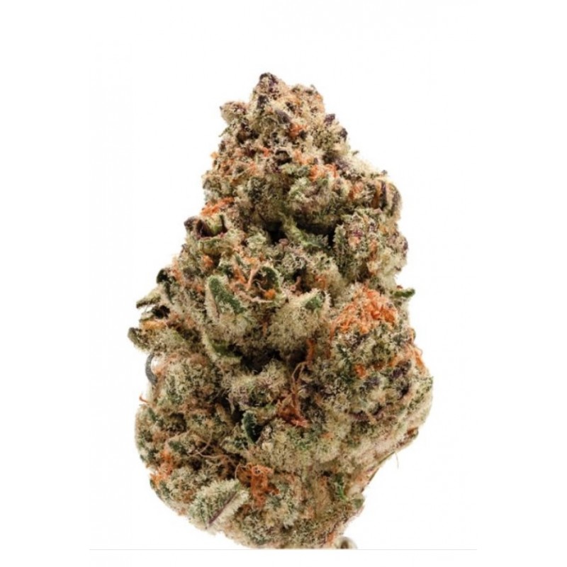 ZKITTLEZ · Dr Green Seeds · bulk cannabis samen · Fem