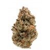 ZKITTLEZ · Dr Green Seeds · semillas de marihuana a granel · Fem