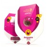 Amnesia Haze – Sementes Feminizadas Royal Queen Seeds