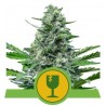 ROYAL CRITICAL AUTOMATIC · Royal Queen Seeds · graines de cannabis · AutoFem