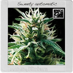 Sweety Auto · Blimburn...