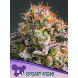 APRICOT OREOZ · Anesia...