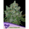 BRUCE BANNER 3 · Anesia Seeds · graines de cannabis  · Fem
