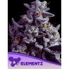 ELEMENTZ · Anesia Seeds · graines de cannabis  · Fem