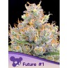 FUTURE 1 · Anesia Seeds · graines de cannabis  · Fem