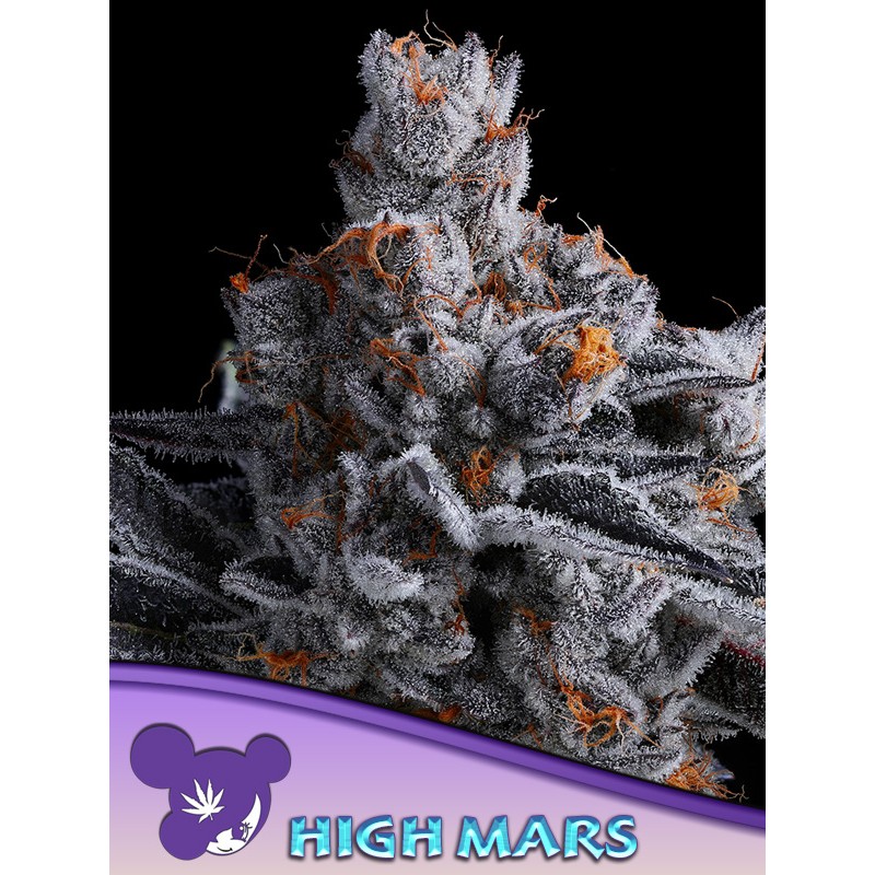 HIGH MARS · Anesia Seeds · graines de cannabis  · Fem
