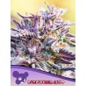 AUTO BUBBLEGUM · Anesia Seeds · semillas de marihuana · Auto Fem