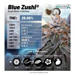BLUE ZUSHI · Dutch Passion · graines de cannabis · Fem