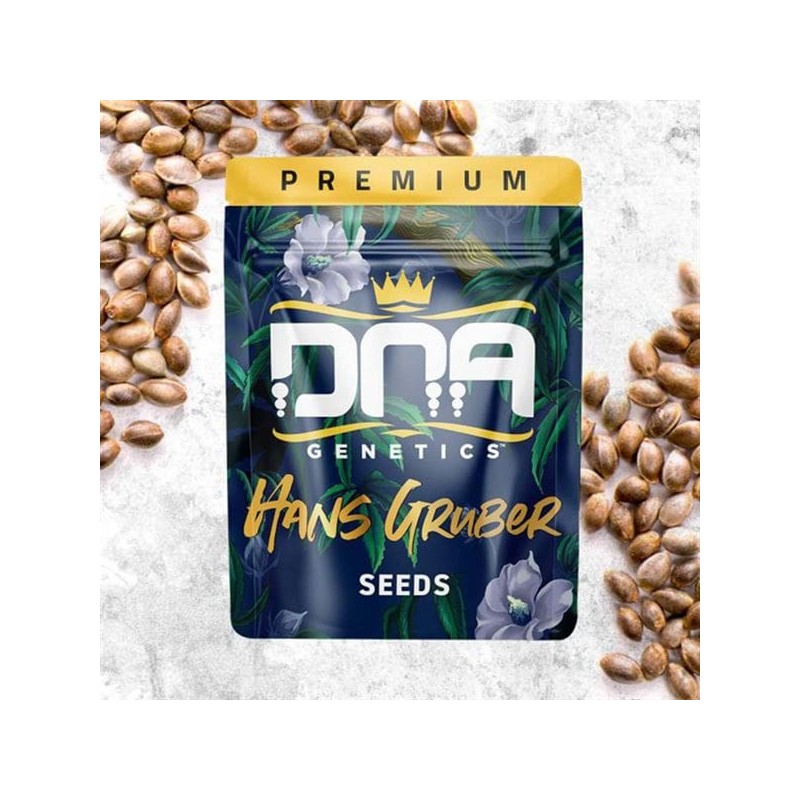 HANS GRUBER · DNA Genetics · semillas de marihuana · Fem