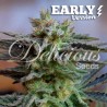 SUGAR BLACK ROSE EARLY VERSION · Delicious · sementes de maconha · Fem