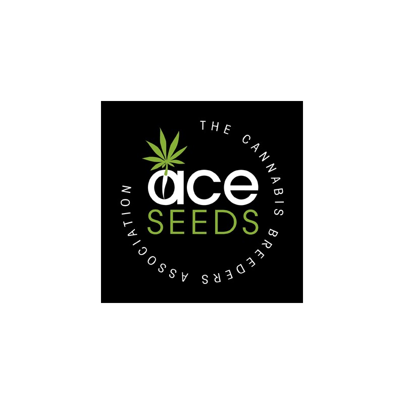 CBD 1 X MALAWI · Ace Seeds · semillas de marihuana · Fem
