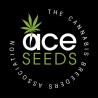 CBD 1 X MALAWI · Ace Seeds · semi di canapa · Fem