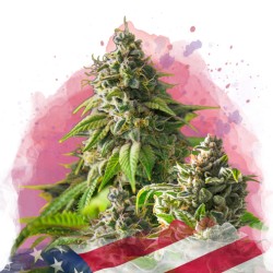 GIRL SCOUT COOKIES ·...
