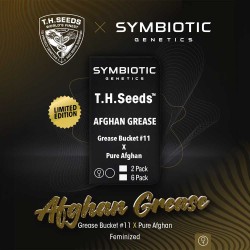 AFGHAN GREASE · TH Seeds ·...