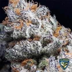 PURPLE BANANA CREAM · TH...