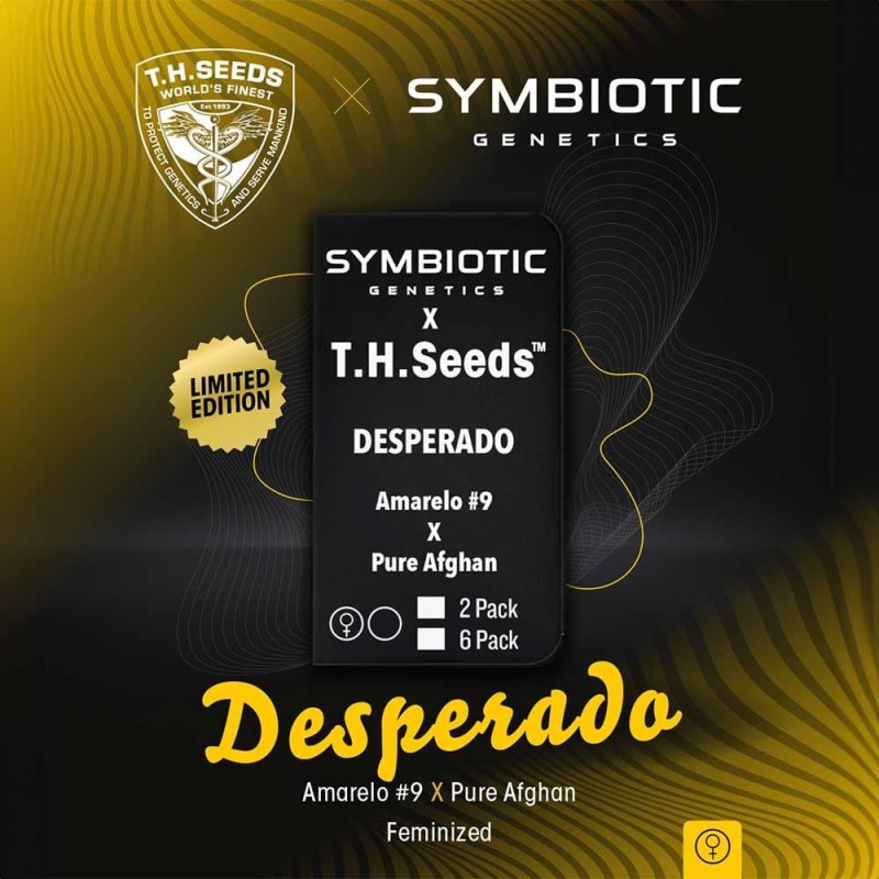 DESPERADO · TH Seeds · sementes de maconha · Fem