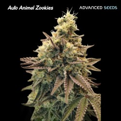 Auto Animal Zookies ·...