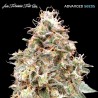 Auto Forbidden Fruit · Advanced Seeds · graines de cannabis · AutoFem