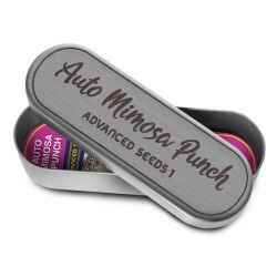 Auto Mimosa Punch ·...