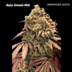 Auto Zerealz Milk ·...