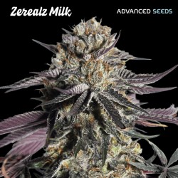 Zerealz Milk · Advanced...
