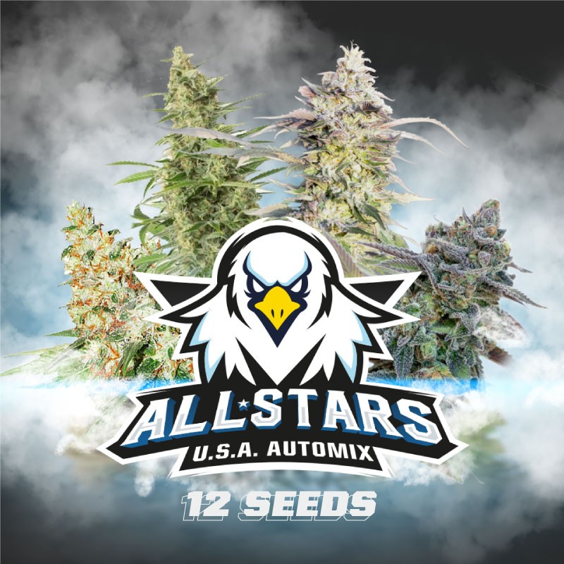 ALL STARS USA AUTOMIX · BSF Seeds · semillas de marihuana · AutoFem