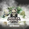 DEALER DEAL XXL AUTOMIX · BSF Seeds · cannabis samen · AutoFem