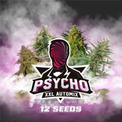 PSYCHO XXL AUTOMIX · BSF...