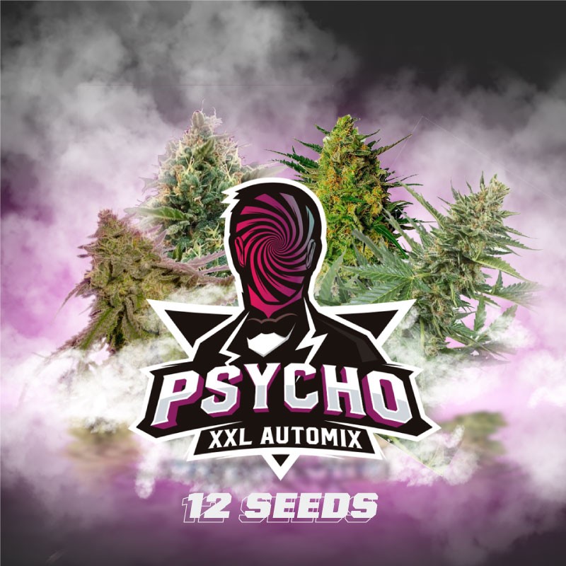PSYCHO XXL AUTOMIX · BSF Seeds · cannabis samen · AutoFem