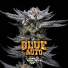 GORILLA GLUE AUTO · BSF Seeds · kenevir tohum · Disi · AutoFem