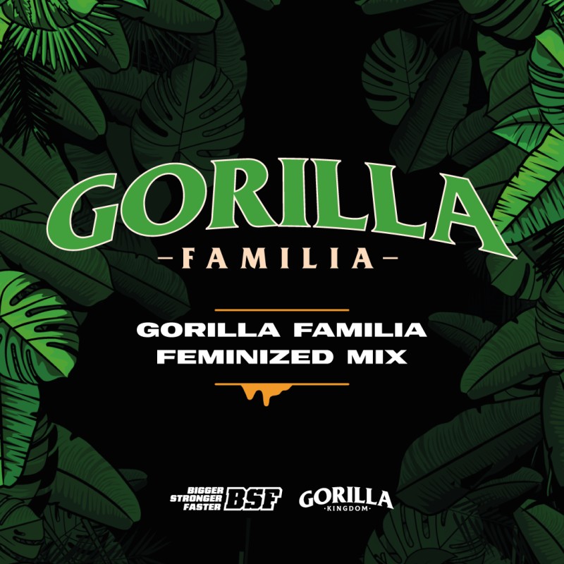 GORILLA FAMILIA FEMINIZED MIX · BSF Seeds · semillas de marihuana · Fem