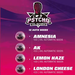 PSYCHO XXL AUTOMIX · BSF Seeds · sementes de maconha · AutoFem