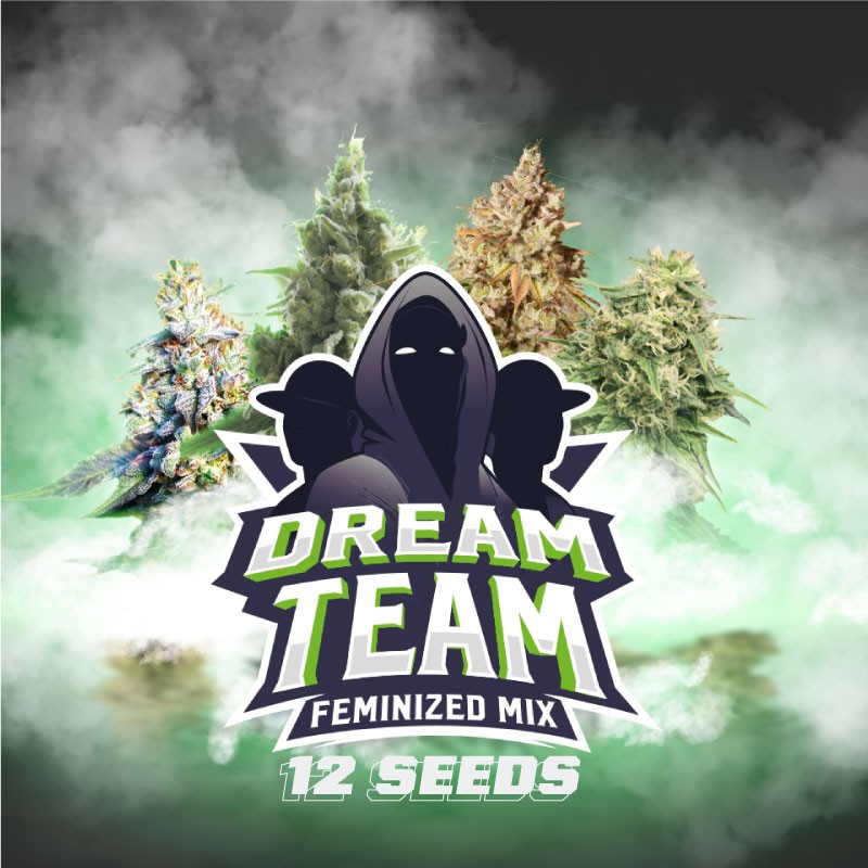 DREAM TEAM FEMINIZED MIX · BSF Seeds · sementes de maconha · Fem