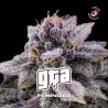 GTA · BSF Seeds · sementes de maconha · Fem