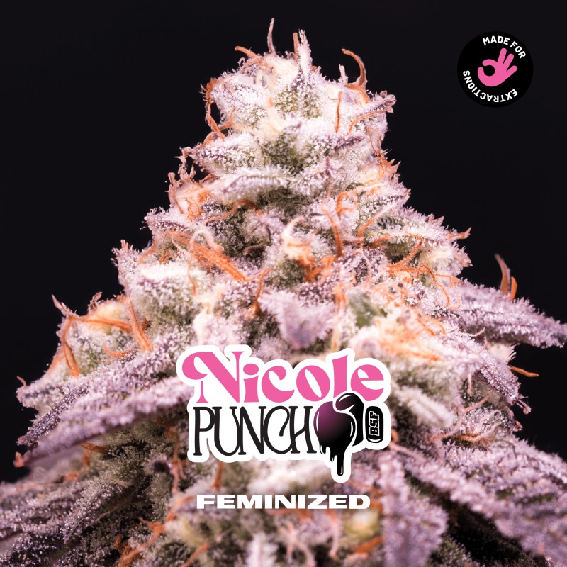 NICOLE PUNCH · BSF Seeds · semillas de marihuana · Fem