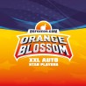 ORANGE BLOSSOM XXL AUTO · BSF Seeds · cannabis samen · AutoFem