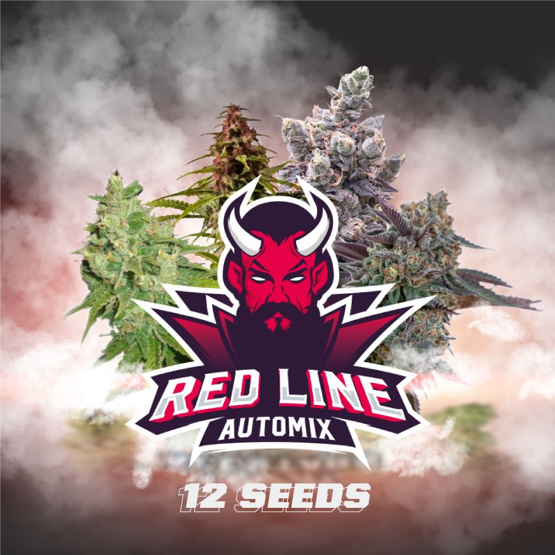 RED LINE AUTOMIX · BSF Seeds · graines de cannabis · AutoFem