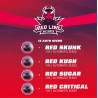 RED LINE AUTOMIX · BSF Seeds · cannabis samen · AutoFem