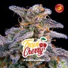 TROPICHERRY · BSF Seeds · graines de cannabis · Fem