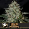 Gelato FB · Blimburn Seeds · sementes de maconha · Fem