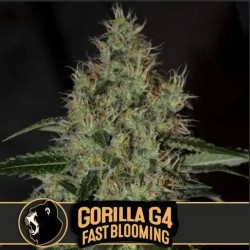 Gorilla Glue 4 FB ·...