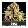 Orka · Blimburn Seeds · kaufen cannabis samen · Fem