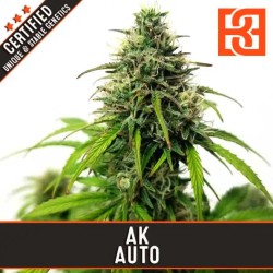 AK Auto · Blimburn Seeds ·...